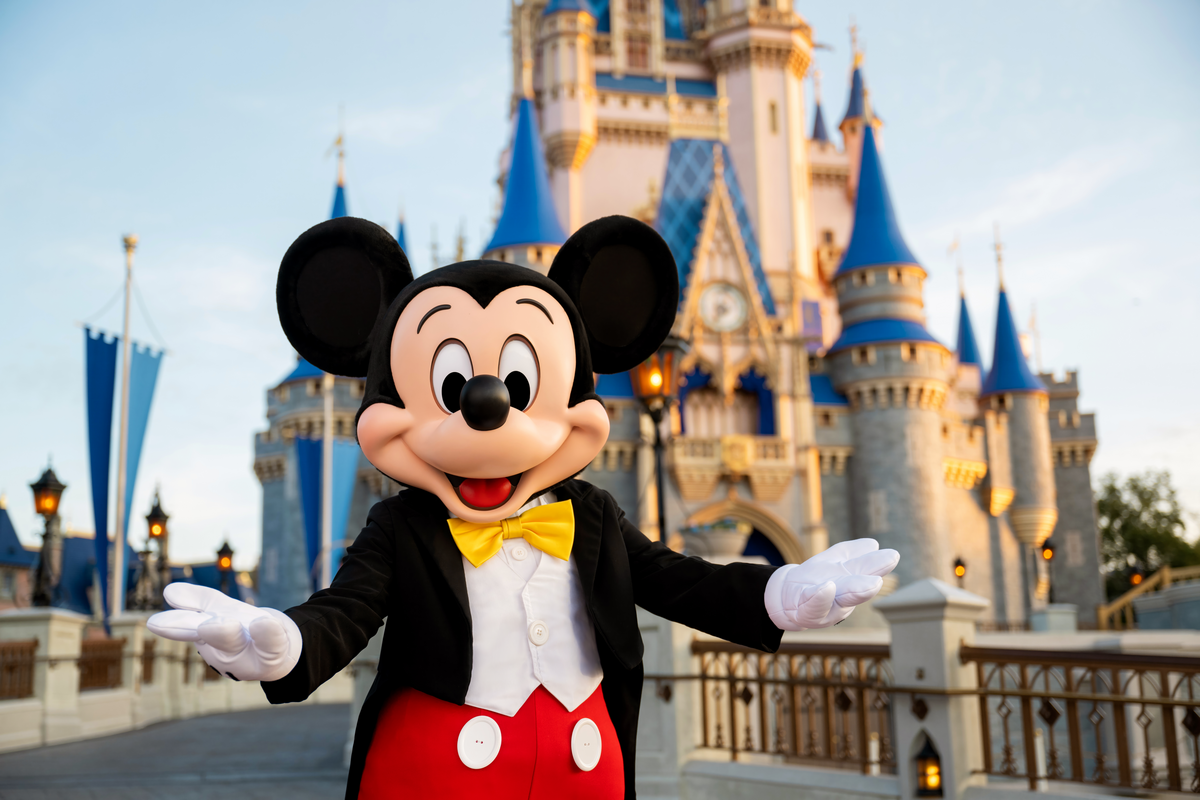 Disney Castle